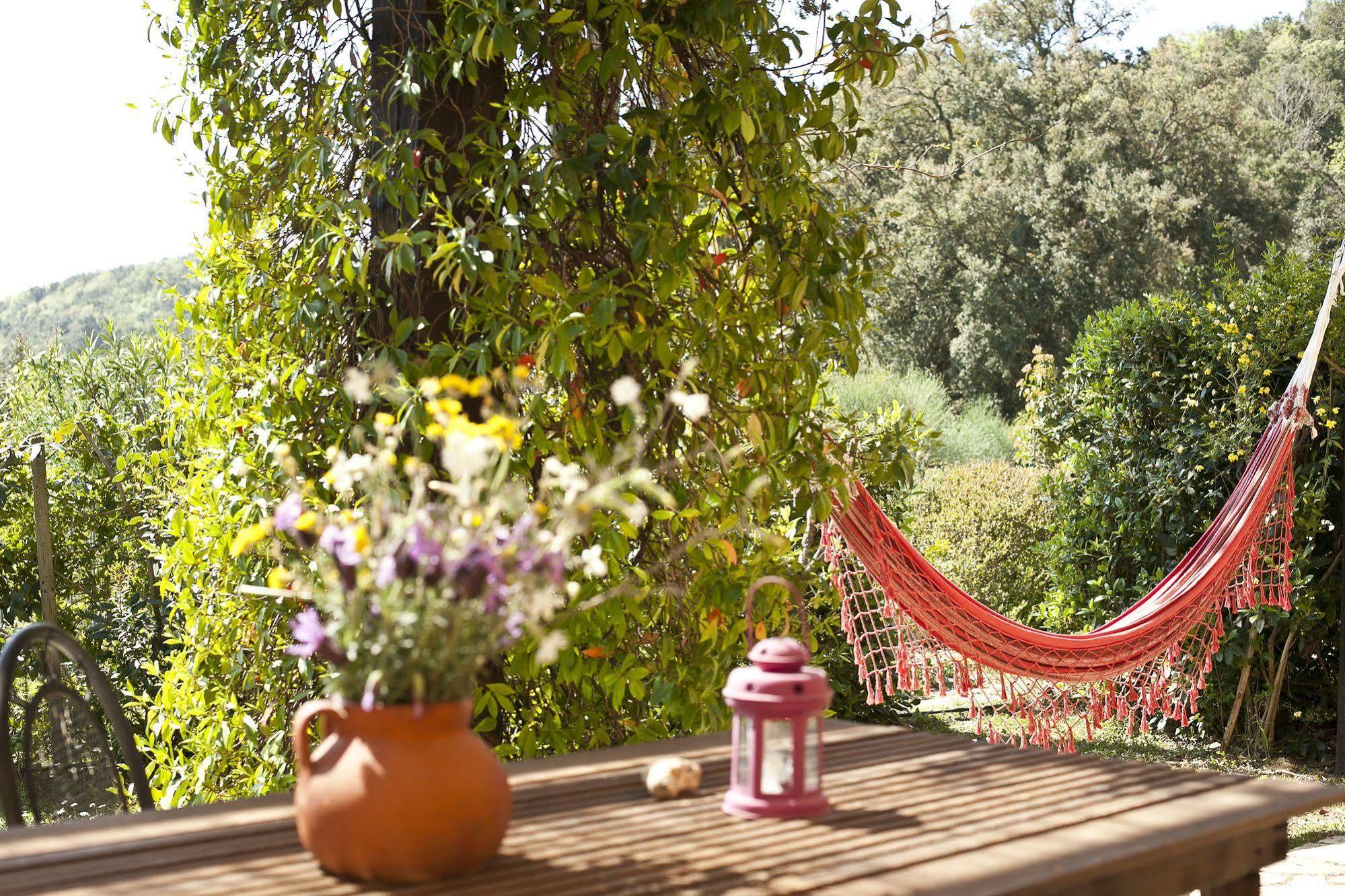 Casale Pundarika Guest House Riparbella Exterior photo